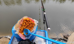 野外钓鱼视频大全,视频大全中的钓鱼奇遇记